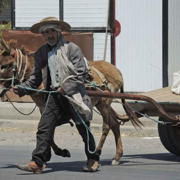 Motorradreisen Tunesien Matmata Köstlichkeiten Zeltnacht